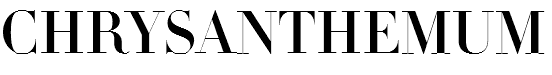 CHRYSANTHEMUM