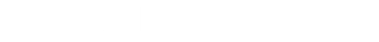 THE SPEED PROJECT